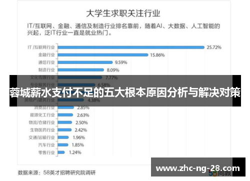 蓉城薪水支付不足的五大根本原因分析与解决对策